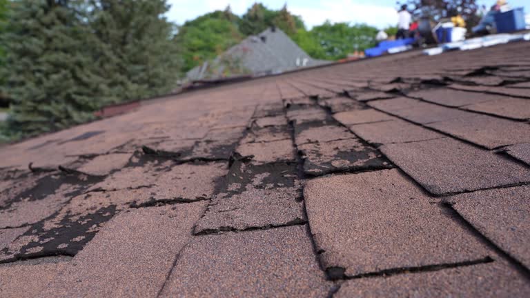 Best Gutter Installation and Repair  in Sto Brook University, NY