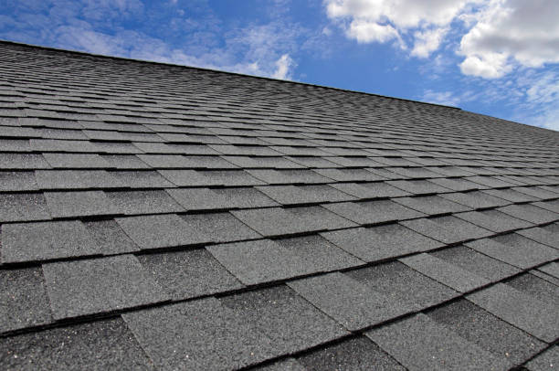 Best Steel Roofing  in Sto Brook University, NY